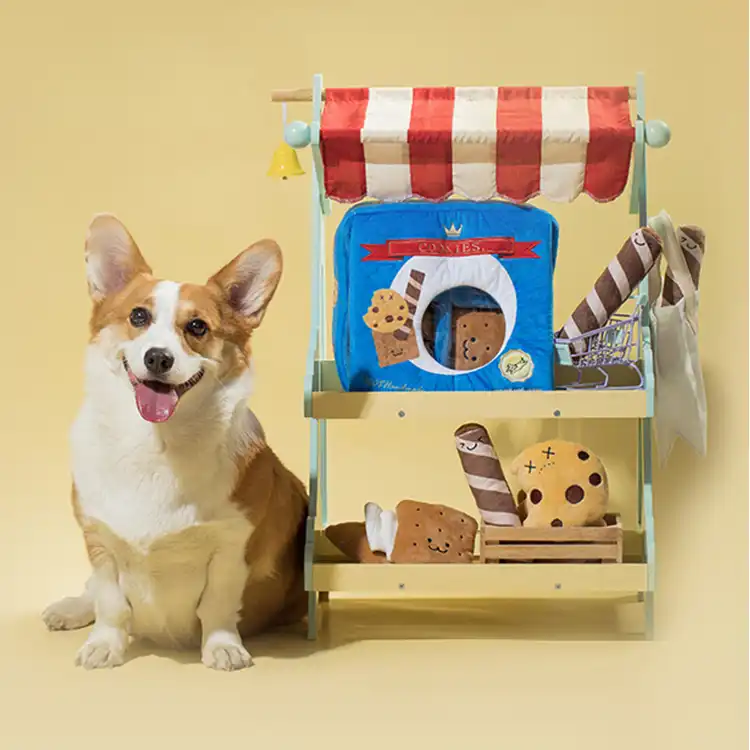 Dog's toy box
